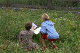 dagvannatuur dagvannatuur