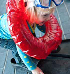 Duik in het zand, foto Erik Meijers Duik in het zand, foto Erik Meijers