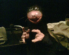 Max de Mol Max de Mol